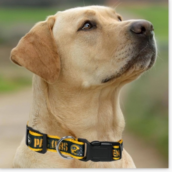 NFL Green Bay Packers Dog Collar - Heavy-Duty, Durable & Adjustable, Size Large - Picture 3 of 14
